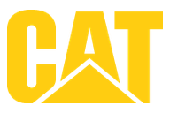 Caterpillar
